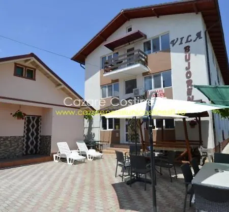 Гостевой дом Casa Bujoreni 2